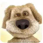 会说话的狗狗本