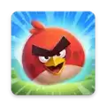 愤怒的小鸟年 Angry Birds