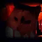 猫咪的五夜后宫