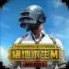 pubg地铁逃生国际服2.8