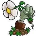 植物大战僵尸仿e支线