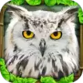 终极猫头鹰模拟器
