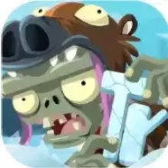 植物大战僵尸荔枝