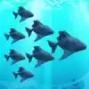 鱼类收集者3D(fishcollector3d)