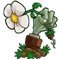 植物大战僵尸