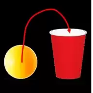 水杯派对Cup Party