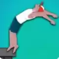 短暂的人生后空翻