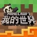 我的世界 