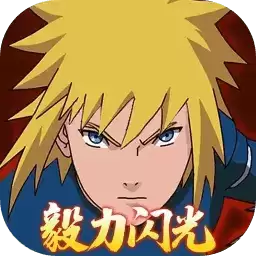 毅力火影毅力闪光