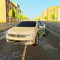 Passat Car Dri