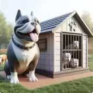 狗狗救援收容所Dog Pet Shelter