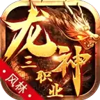 风林龙神三职业