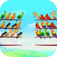 鸟类颜色拼图