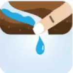 给树浇水Water the tree!