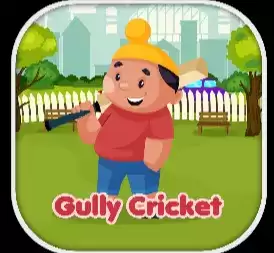 街头板球冒险gully cricket