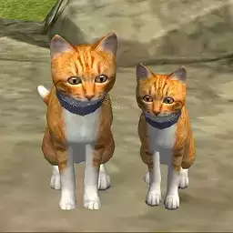 可爱小猫模拟器