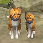 可爱小猫模拟器