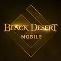 黑色沙漠国际服