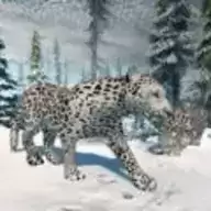 北极豹家族雪林模拟游戏(Snow Leopard Family Sim)