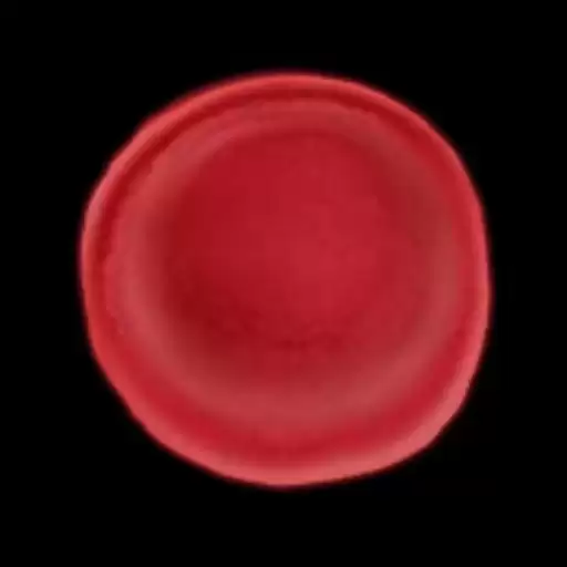 转校生角色扮演类