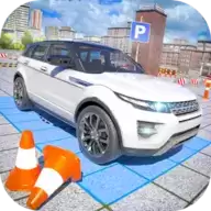 驾驶特技停车场Dri