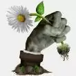 植物大战僵尸现实画风