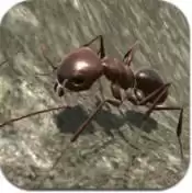 蚂蚁荒野生存模拟