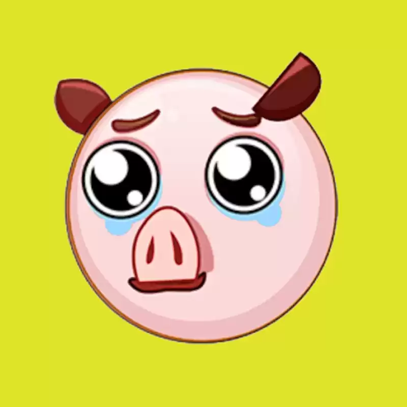 救救可爱小猪猪