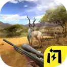 真实狩猎模拟器