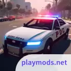 美国警察模拟追捕