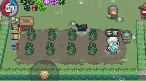 元气骑士前传种植什么时候成熟2