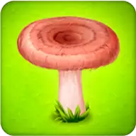 森林部落蘑菇农场