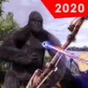 野生大猩猩猎人