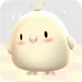 小鸡大作战
                