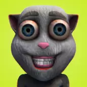 嗨皮猫会说话的胡安猫