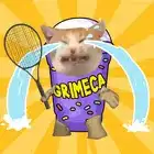 猫咪网球大赛游戏(Cat Tennis Master)