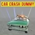 车祸撞击假人