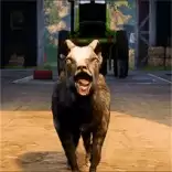 沙雕动物大探险