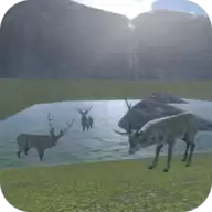 终极狩猎探险(Wild Pursuit Sniper Showdown)