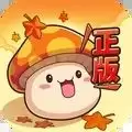 冒险岛联盟的意志