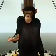 后室像素沙盒正