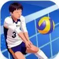 排球竞技场全明星游戏(Volleyball ArenaAll Star)