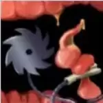 内科医生模拟器