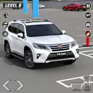 普拉多停车场3D(Prado Car Parking)