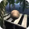 极限平衡器3无限生命