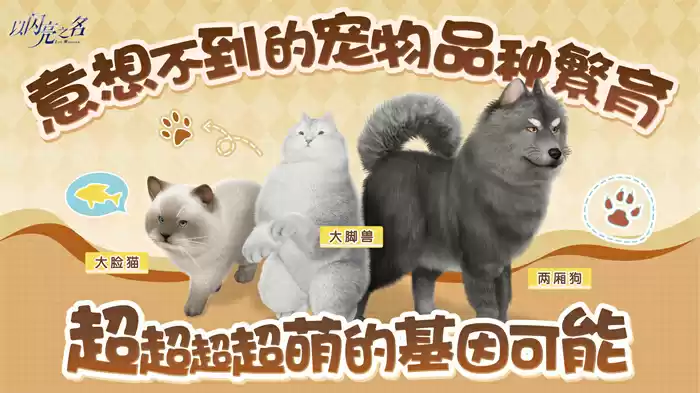 看以闪亮之名最新爆料,女性向游戏终于有人带头吃好的了!