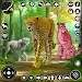 野生猎豹模拟器(CheetahSimulator)