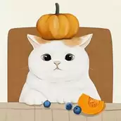 炒酸奶
