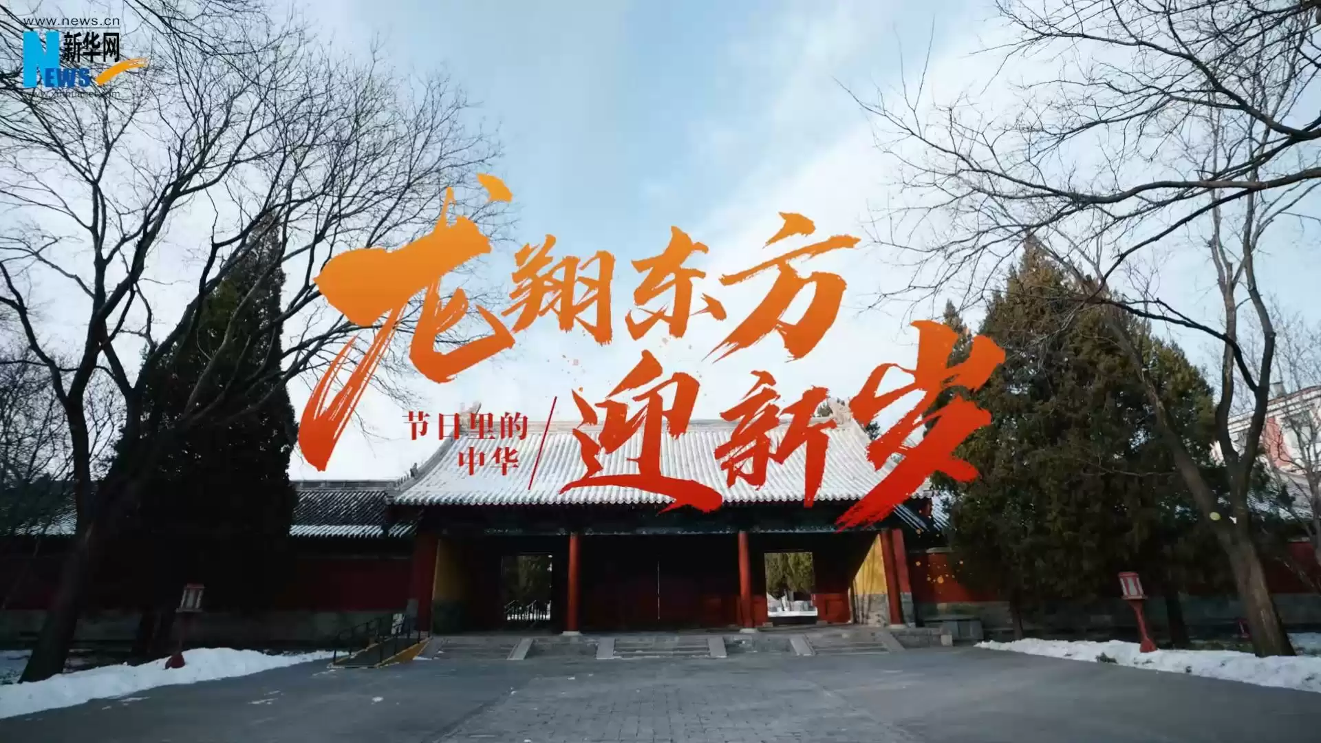 新华网梦幻联动探索龙文物,超级神龙伴你过龙年!