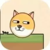 救救狗狗烧脑